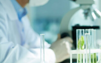 Analisi chimiche, fisiche e biologiche delle matrici ambientali